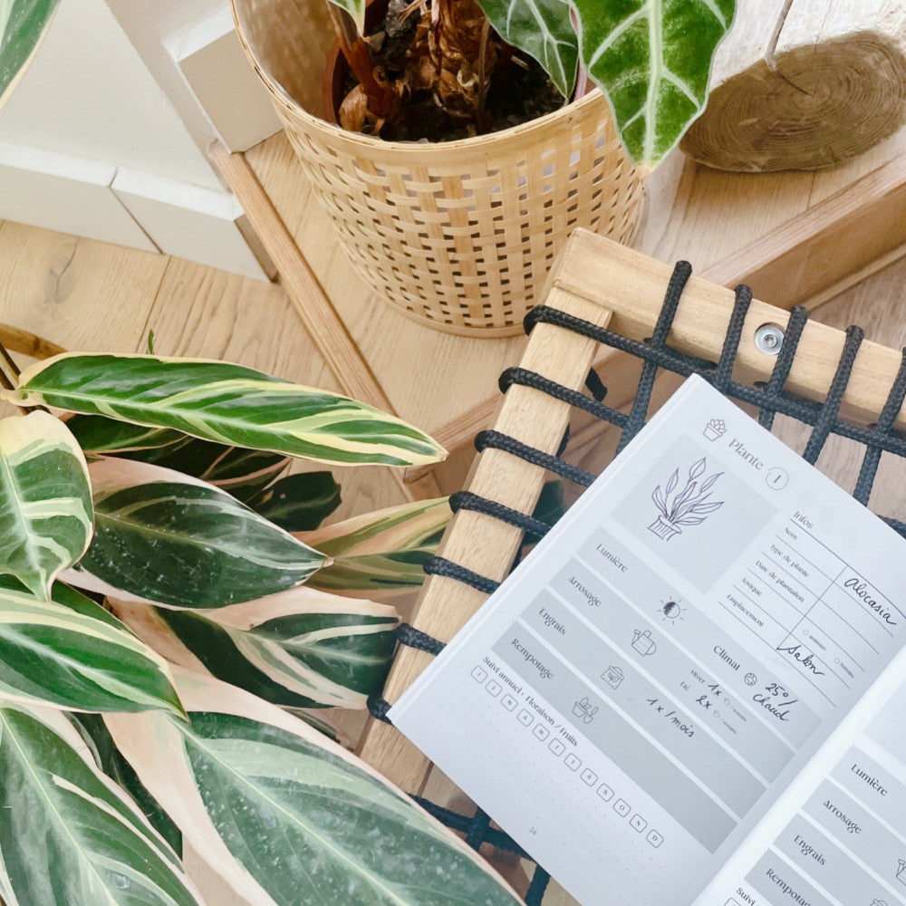 Voyage, Jardinage, Recettes